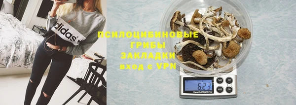 стафф Алексин