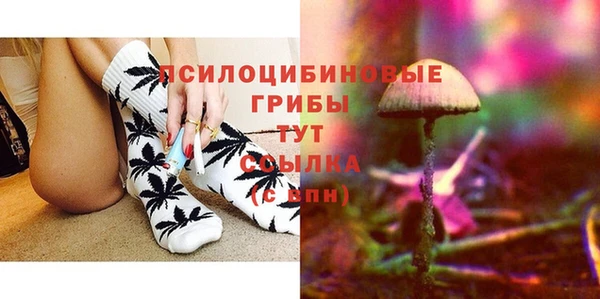 круглые Алзамай